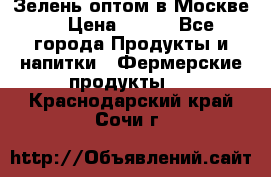 Зелень оптом в Москве. › Цена ­ 600 - Все города Продукты и напитки » Фермерские продукты   . Краснодарский край,Сочи г.